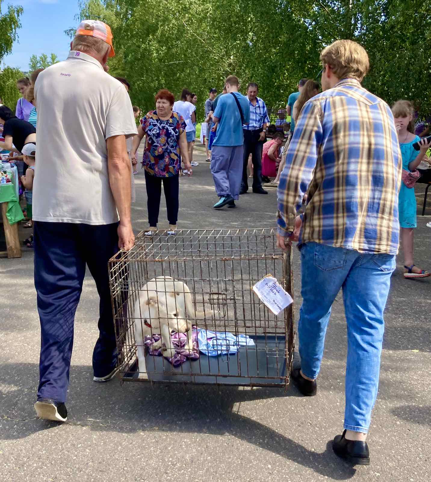 Витебскому приюту для животных «Добрик» — 12 лет Витебскому приюту для животных «Добрик» — 12 лет