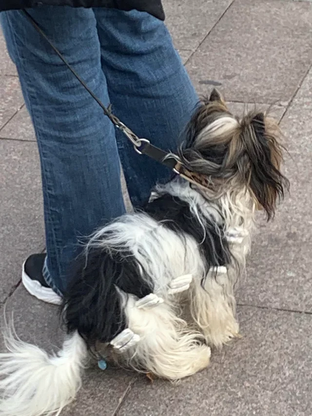 Что это за штука - 105 Перевел сам, Reddit, WhatIsThisThing, Видео, Длиннопост