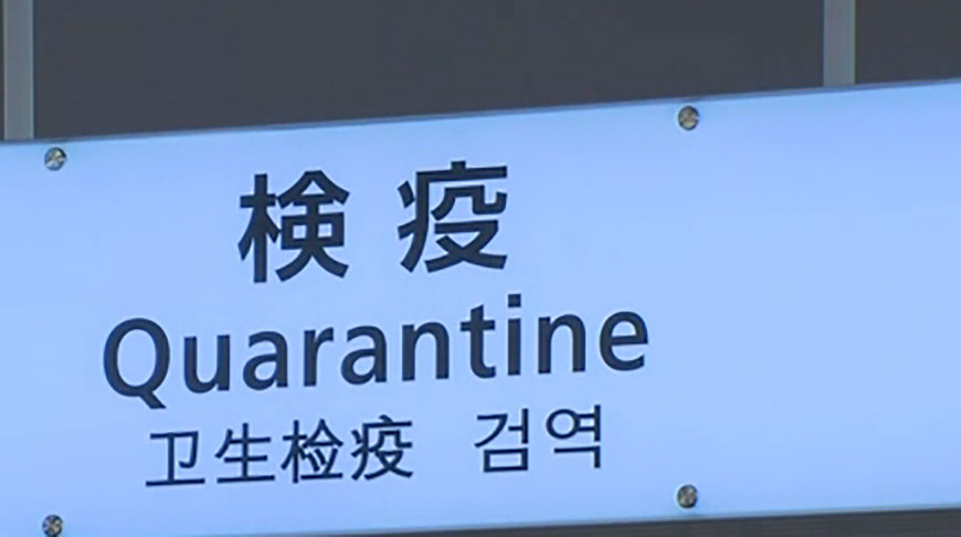 Скриншот из видео NHK Скриншот из видео NHK