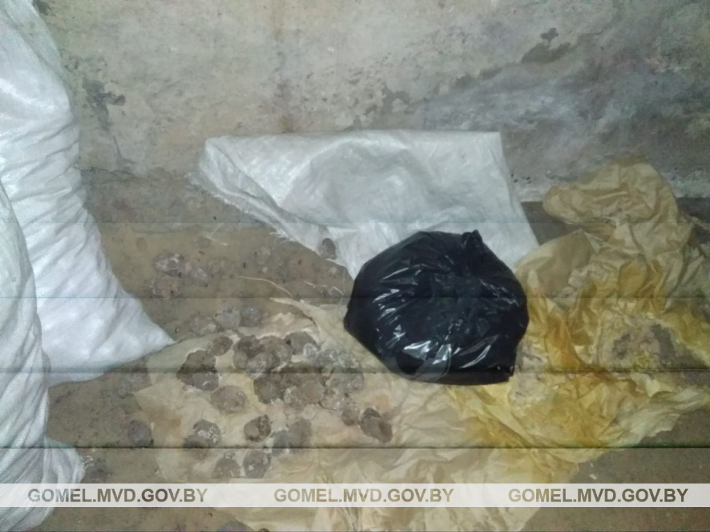 Насвай Мозырь_3