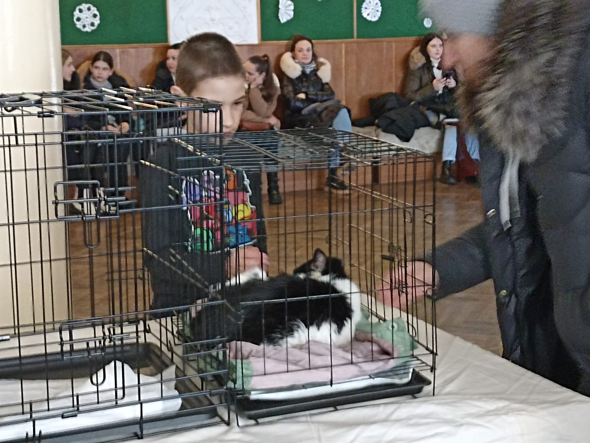 Как Витебский приют «Добрик» Новый год начал?