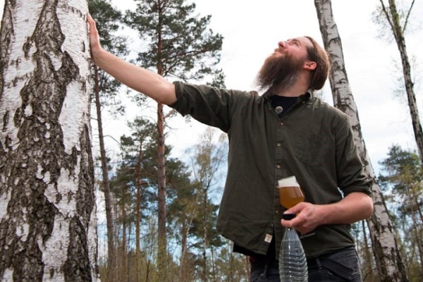 Немец сварил пиво на березовом соке