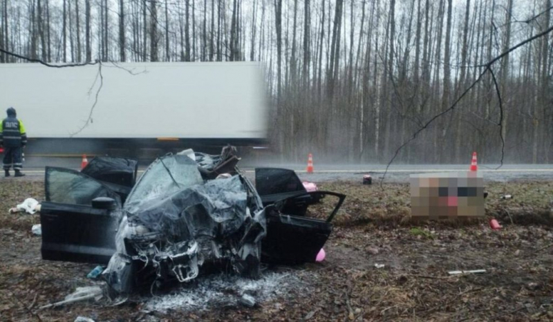 Один человек погиб и трое госпитализировано после ДТП с лосем в Добрушском районе
											 
												Один человек погиб и трое госпитализировано после ДТП с лосем в Добрушском районе