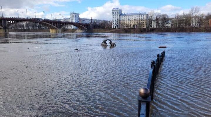 Как золотая рыбка в Витебске утонула